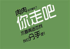 猫咪新用户登录账号密码
